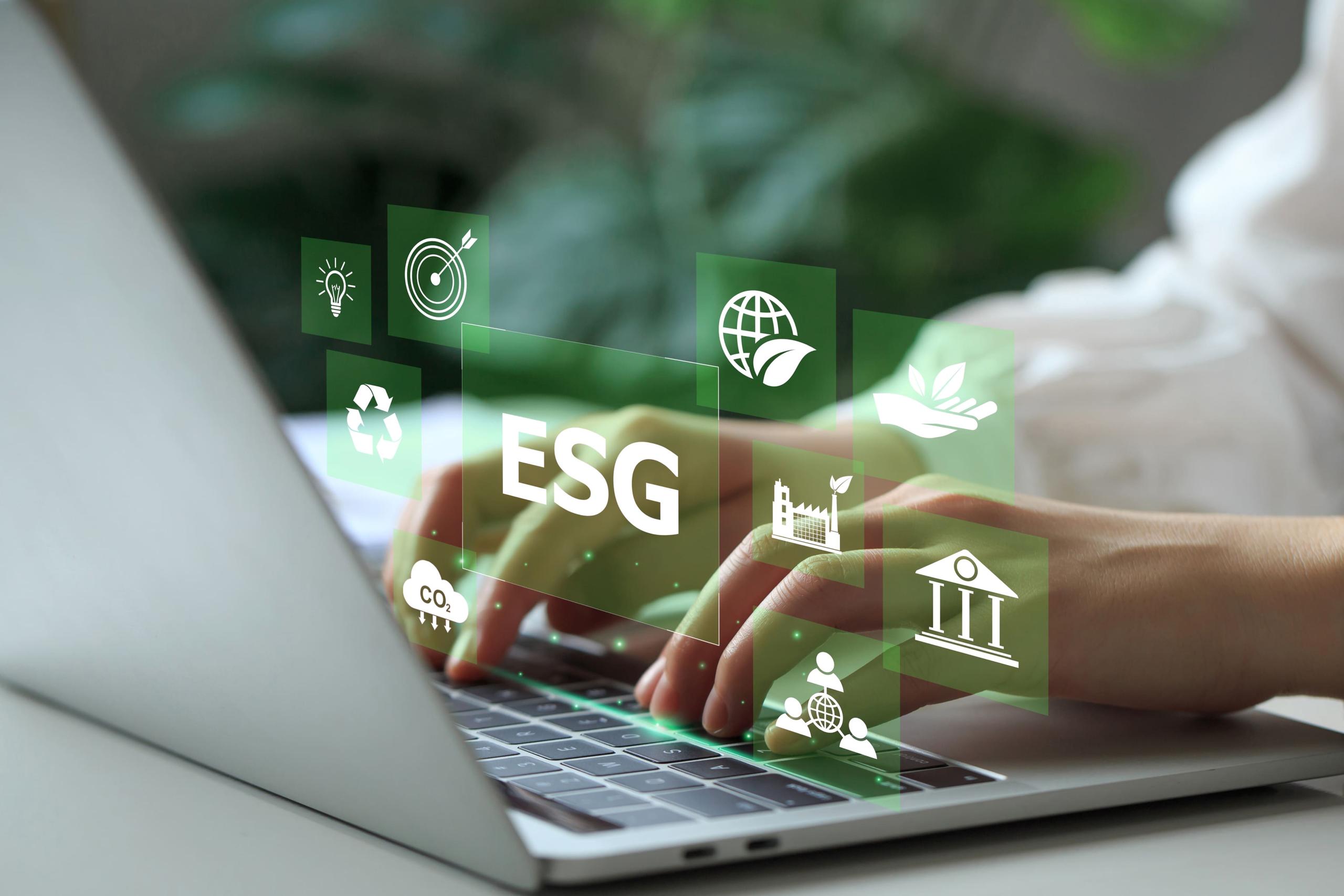 Everything You Need to Know About Vendor Risk Assessment