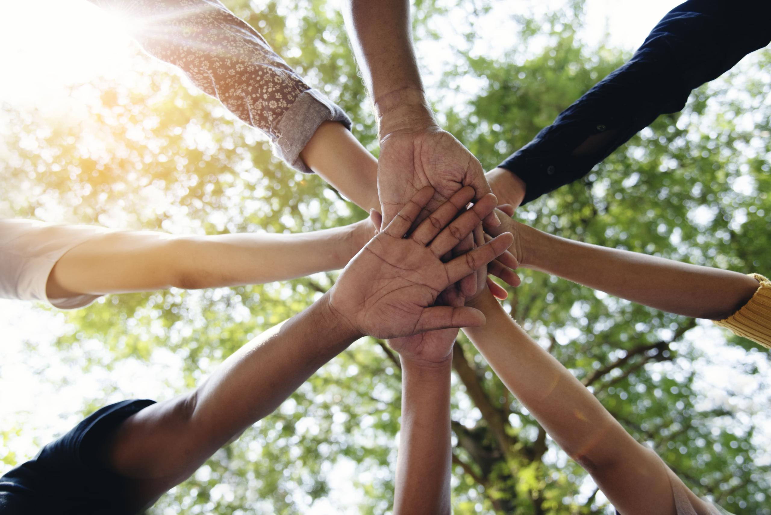 Everything You Need to Know About Vendor Risk Assessment